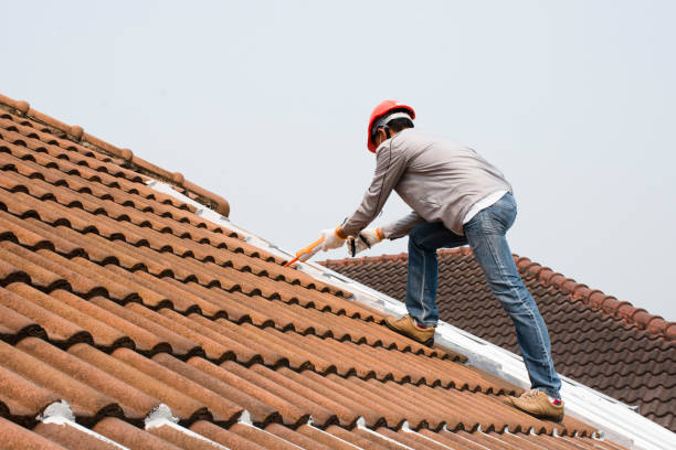 Fast & Reliable Emergency Roof Repairs in Collierville, TN